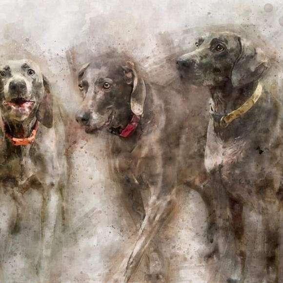 Meet your Posher, Linda - Picture 3 of 8